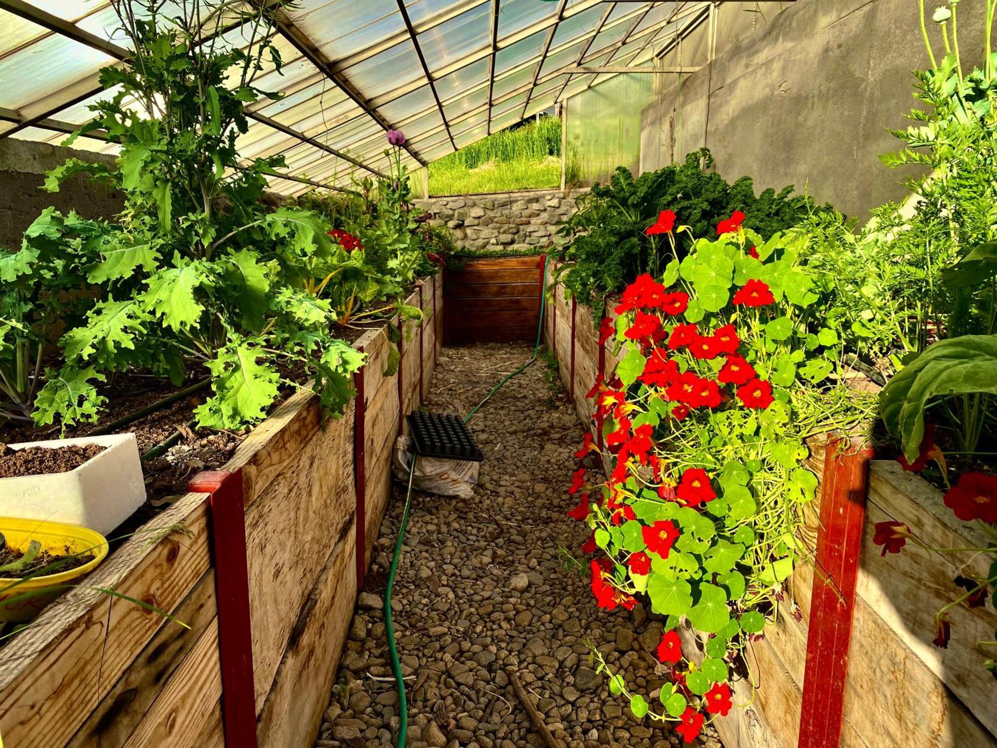 Hostal Las Natalias Futaleufú Zewnętrze zdjęcie